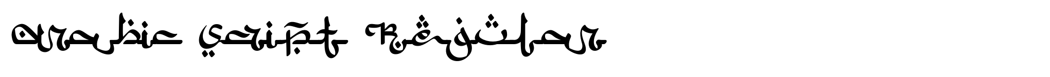 Arabic Script Regular image